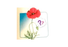 Estás nervioso?......No puedes dormir?..... quizás pueda aconsejarte.